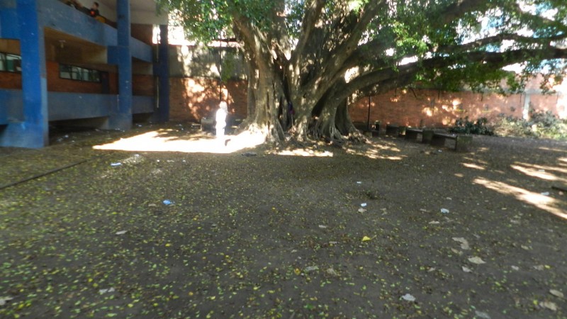 Pátio foi limpo por contraventor