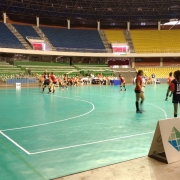 Menias do handebol garantiram outra prata