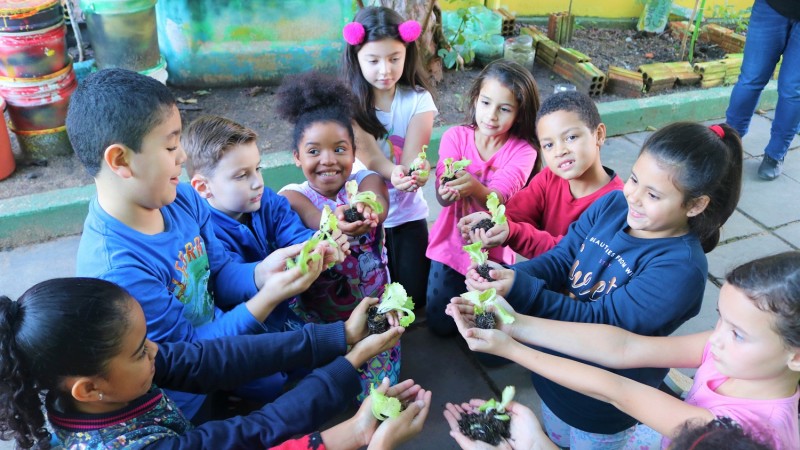 Estudantes da Escola Matias de Albuquerque plantando folhas de alface na horta escolar