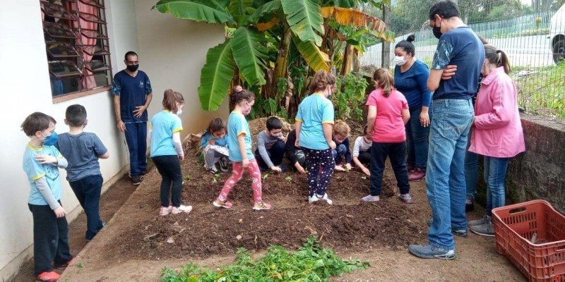 Alunos construíram uma horta na escola