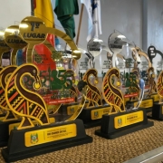 A imagem mostra trof&eacute;us enfileirados. Eles t&ecirc;m base preta com placa do Governo do RS, corpo em formato de p&aacute;ssaro estilizado com padr&otilde;es &eacute;tnicos e discos no topo indicando coloca&ccedil;&otilde;es (1&ordm;, 2&ordm; e 3&ordm; lugares) da Mostra Cient&iacute;fica 2026.